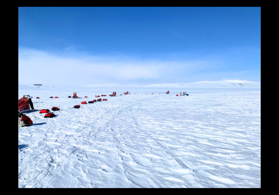 Snowy landscape with sled dogs